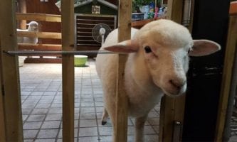 Thanks Nature Cafe | Mapo-gu, Seoul