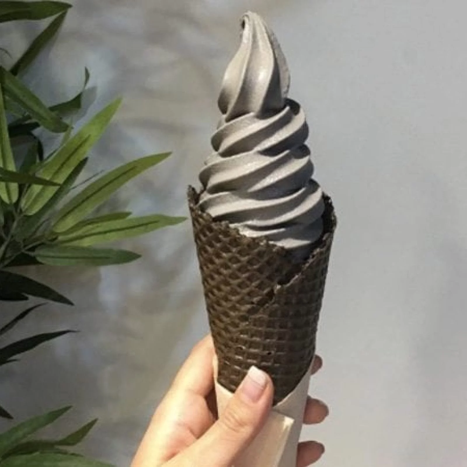 Kumo Cheese | Mapo-gu, Seoul