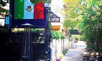 El Cantina | Gangnam-gu, Seoul