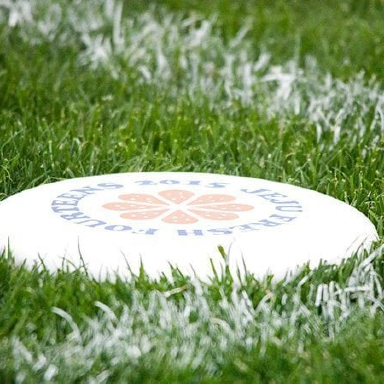 Korea Ultimate Players Association | KUPA