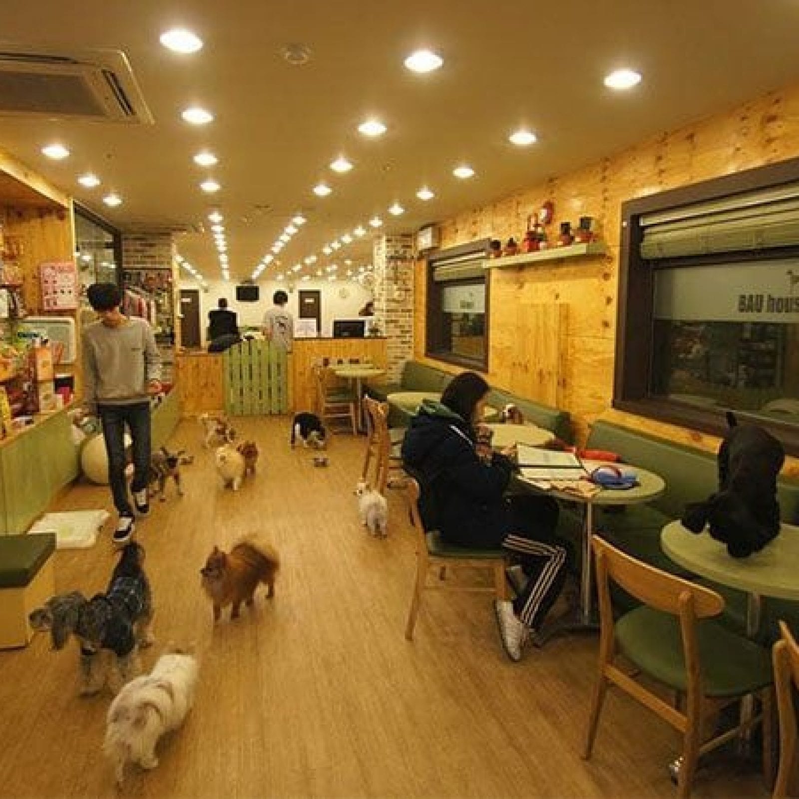 Closed – Bau House Dog Cafe | Mapo-gu, Seoul