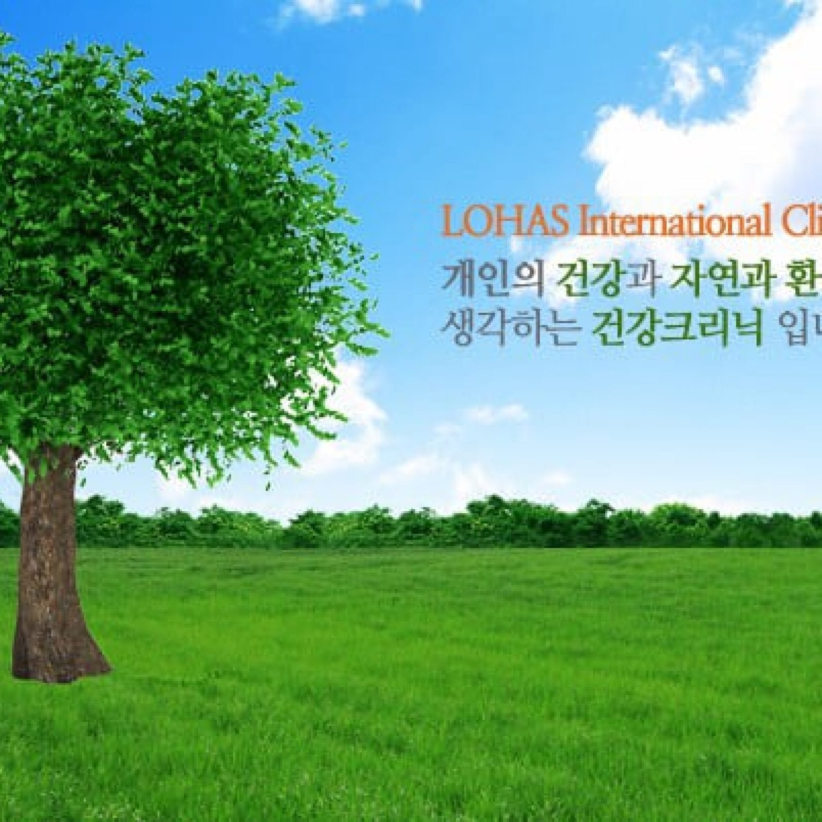Lohas Care International Clinic | Yongsan-gu, Seoul