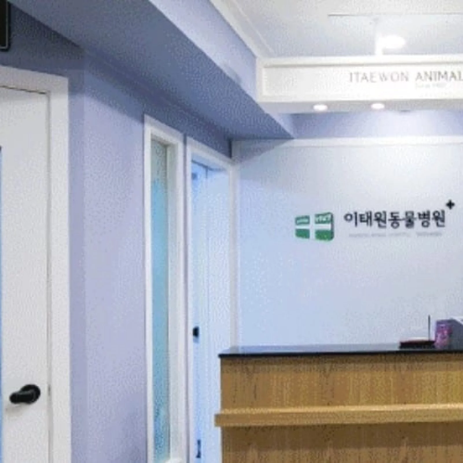 Itaewon Animal Hospital | Yongsan-gu, Seoul