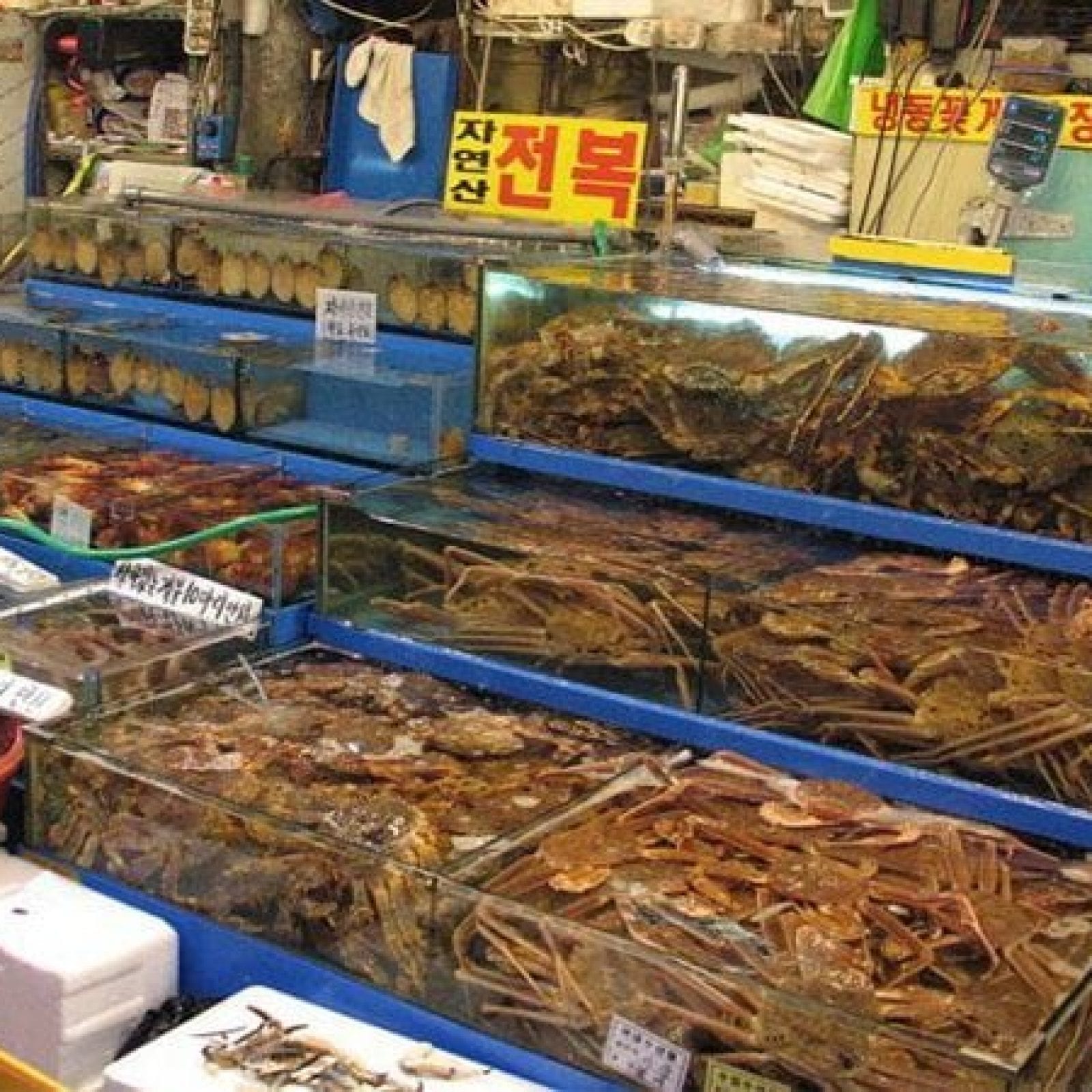 Noryangjin Fish Market | Dongjak-gu, Seoul