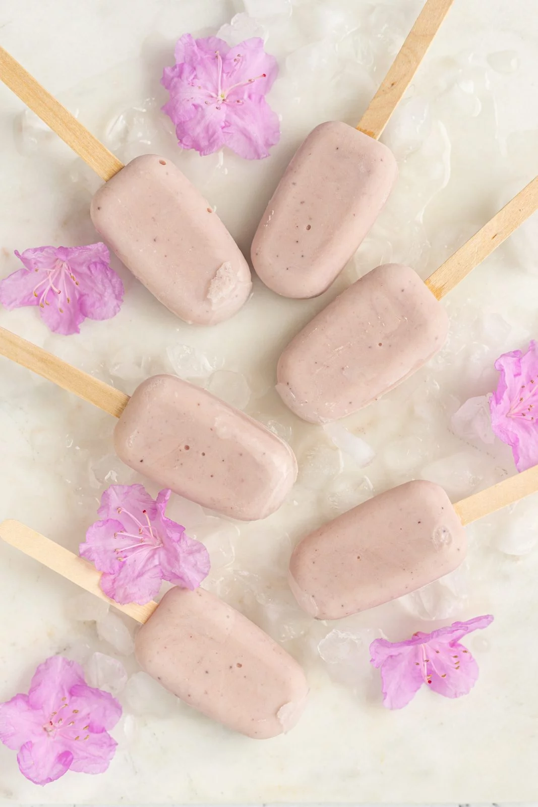 Molly’s Pops |  Mapo-gu, Seoul