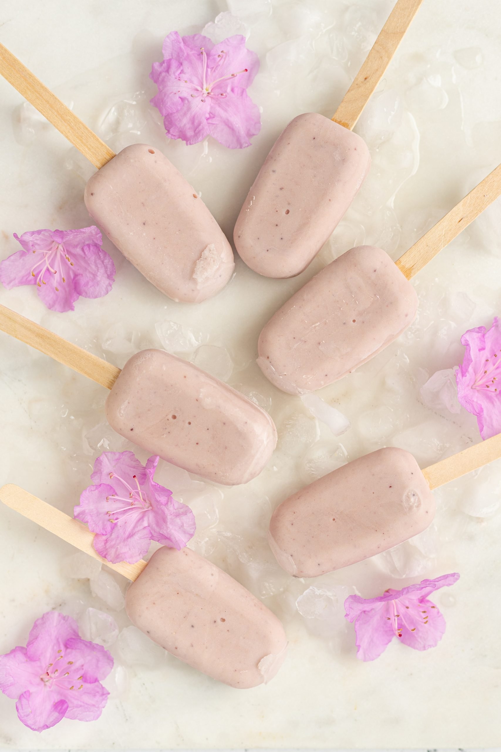 Molly’s Pops |  Mapo-gu, Seoul