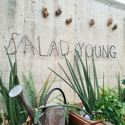 Salad Young | Gangnam-gu, Seoul
