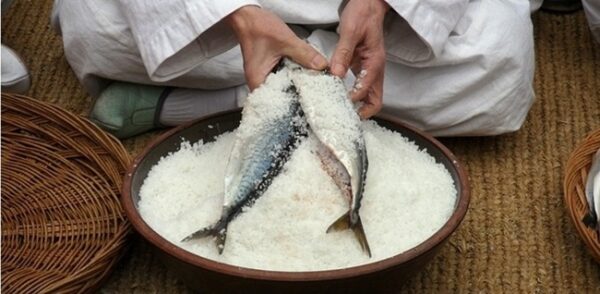 andong salted mackerel