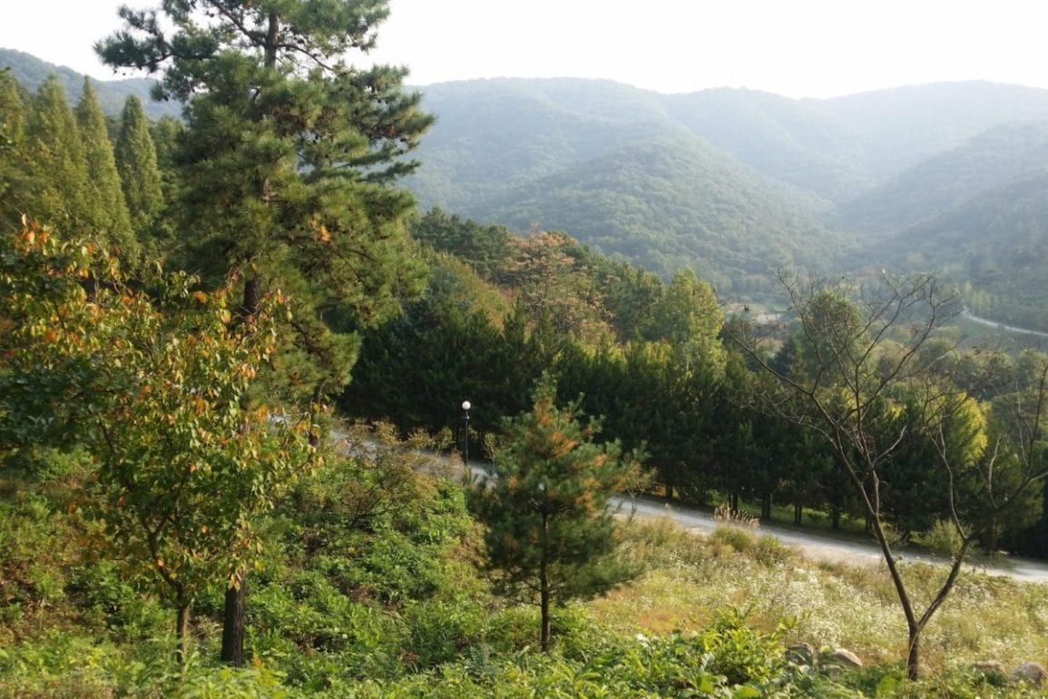 Geum River National Recreation Forest