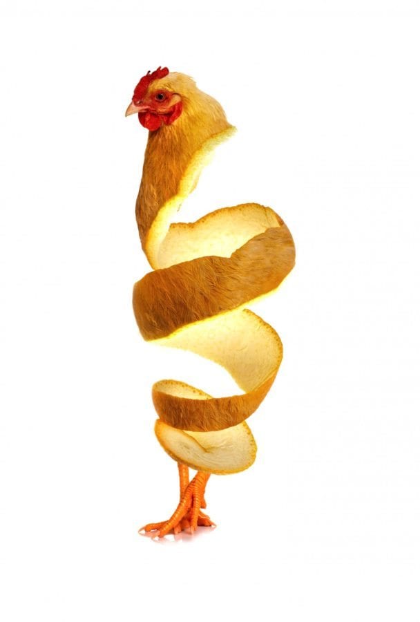 Sarah DeRemer, Orange Chicken
