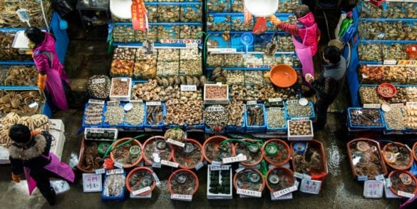 traditional markets in korea noryangjin