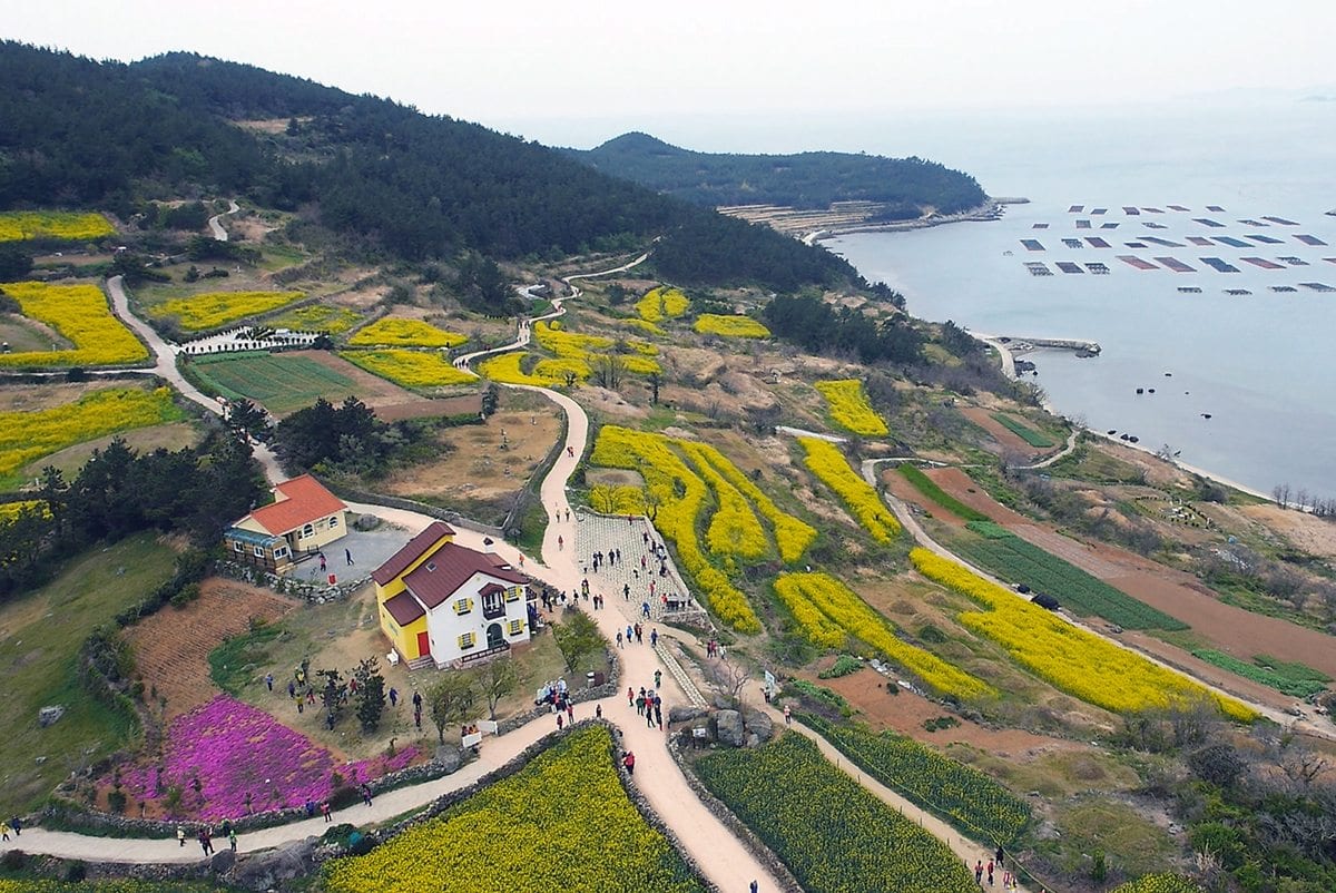 beaches in korea cheongsando