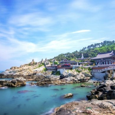 top reasons to visit busan