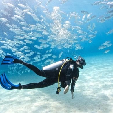 The 9 Best Busan Beach Activities To Do This Summer scuba diving