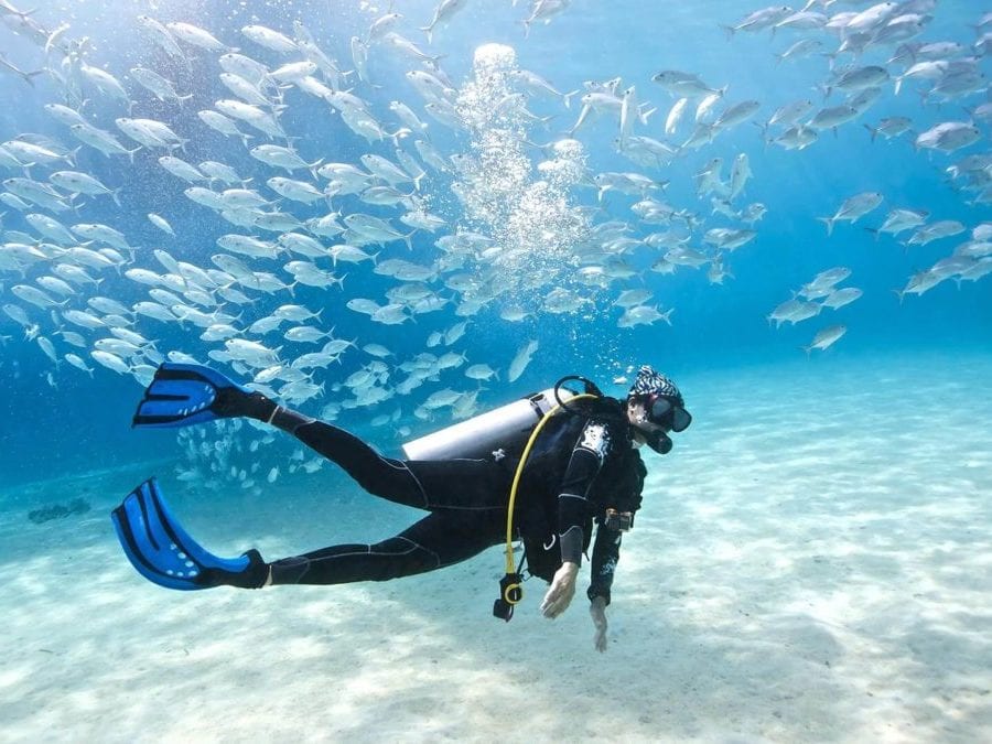 The 9 Best Busan Beach Activities To Do This Summer scuba diving