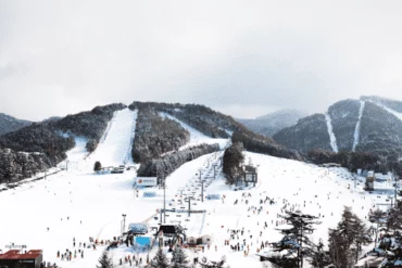 yongpyeong-ski-snowboard-winter
