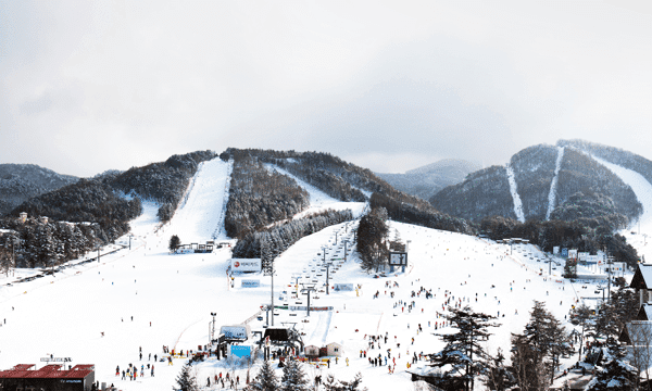 yongpyeong-ski-snowboard-winter