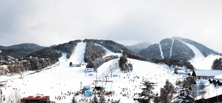 yongpyeong-ski-snowboard-winter
