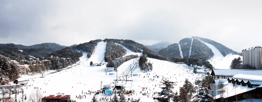 yongpyeong skiboard winter