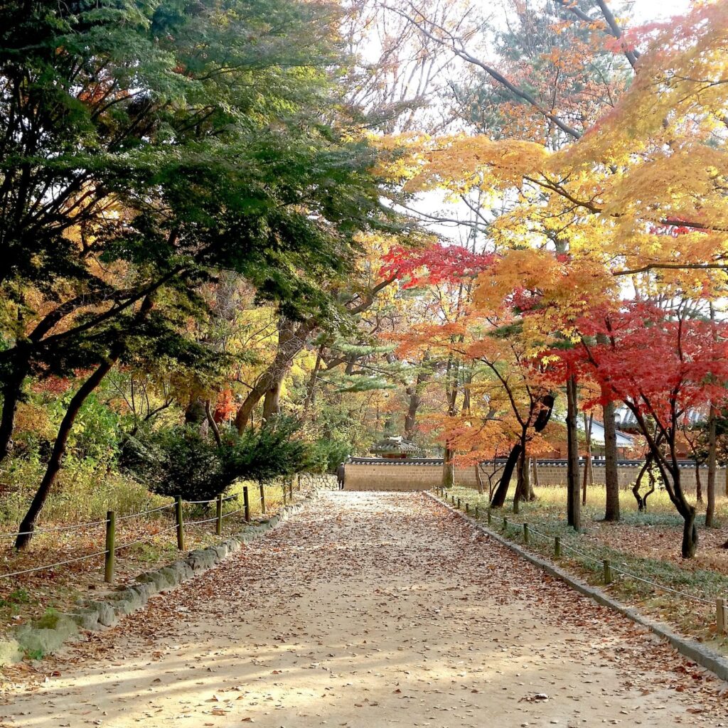 K drama filming locations in South Korea