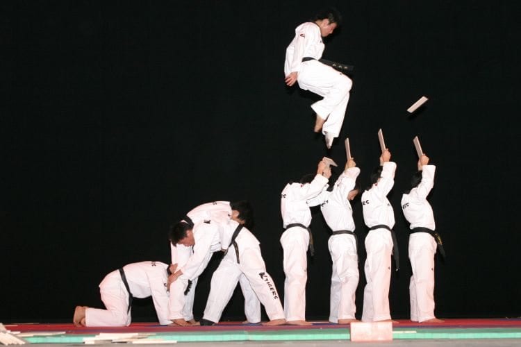 taekwondo experiences