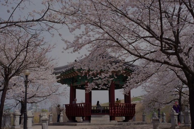 Unique Ways to Enjoy Spring in Korea