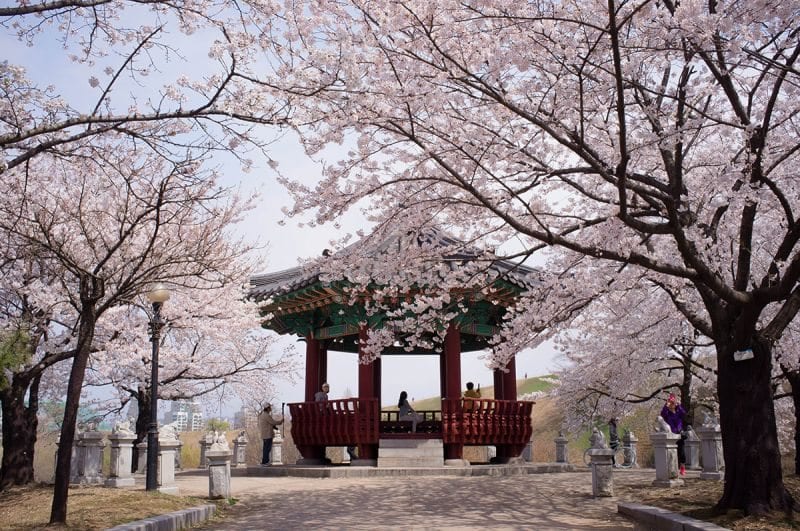 things to do in south korea this march