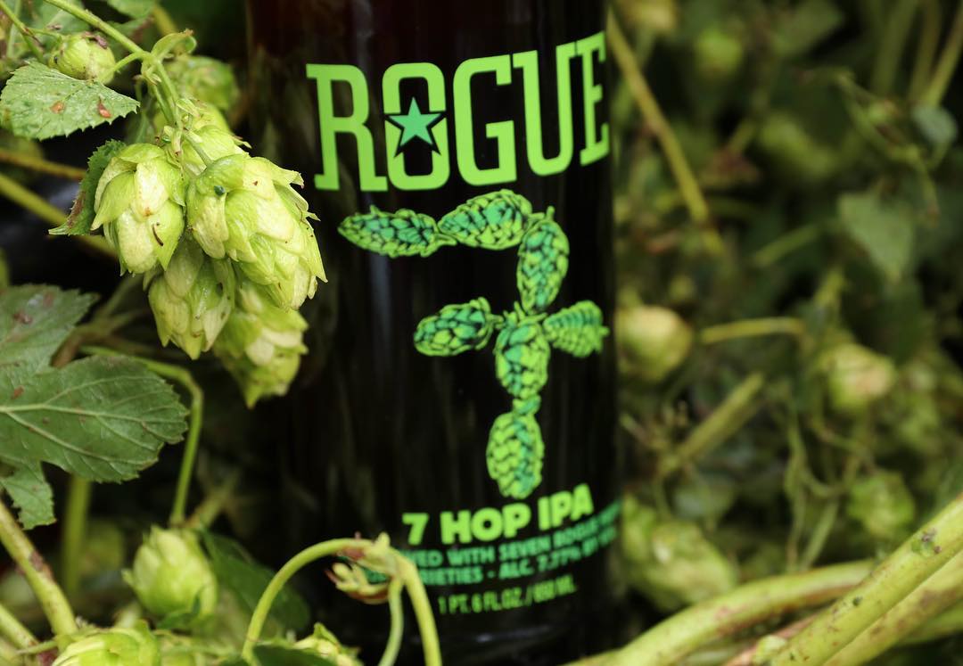 Rogue Farm 7 Hop IPA Rogue Ales Craft Beer Summer Korea