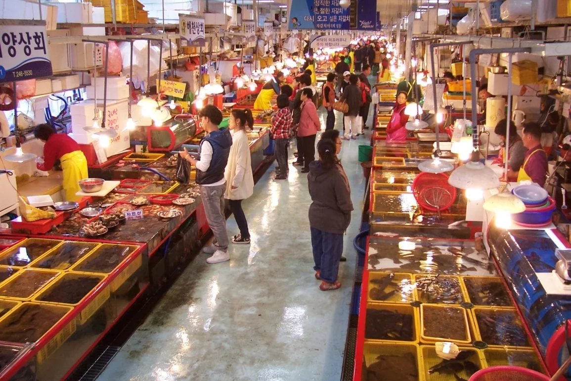 The Best Seafood Markets and Towns in Busan