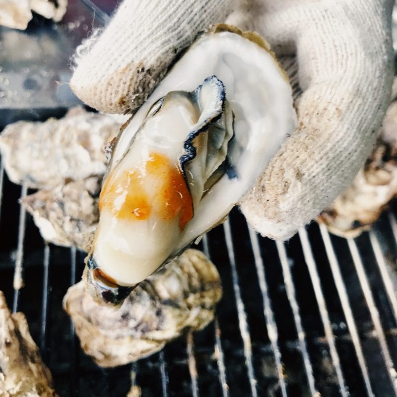 grilled oysters korea