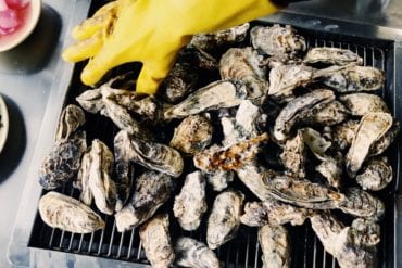 grilled oyster korea