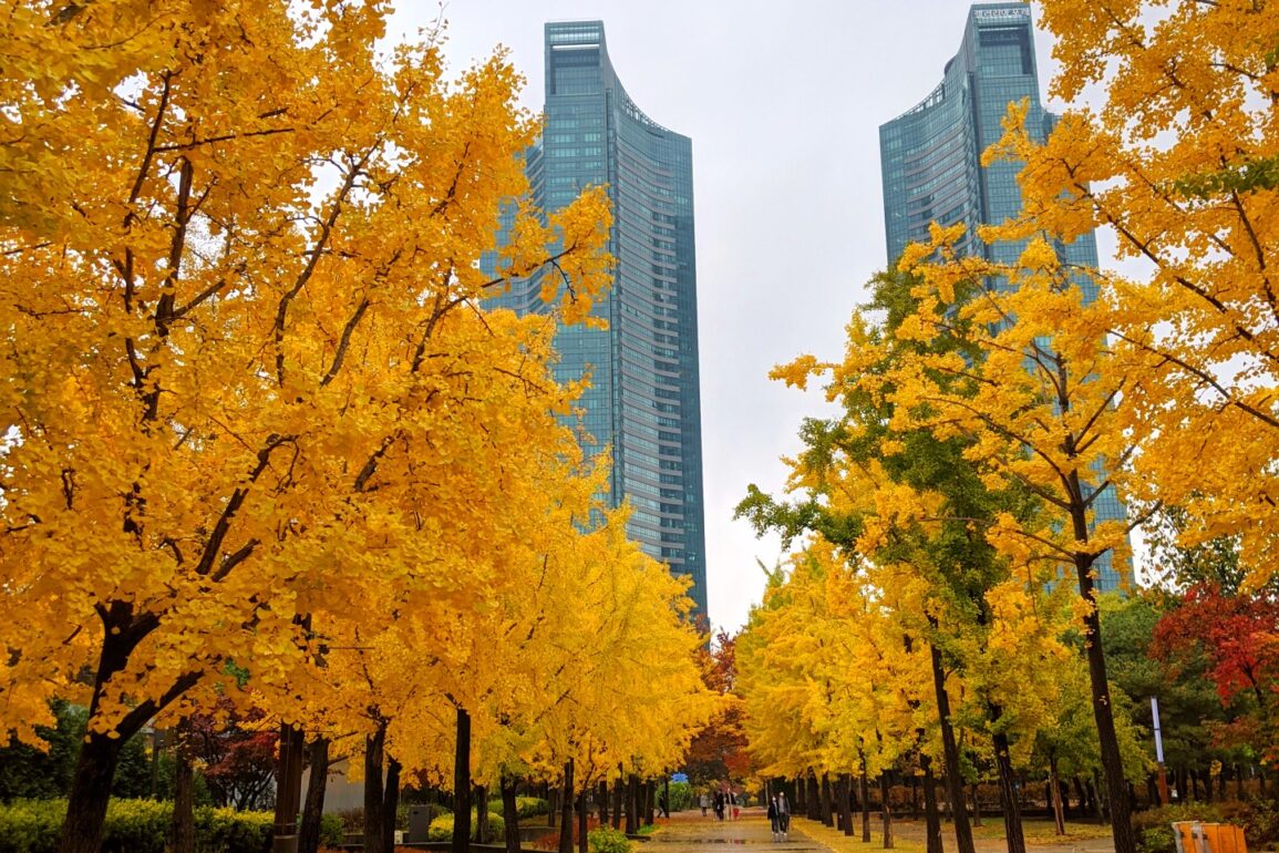 Exciting Things to do in Seoul During Fall