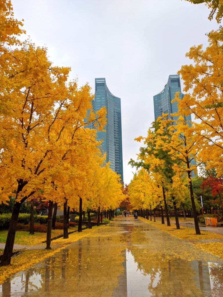 Exciting Things to do in Seoul During Fall
