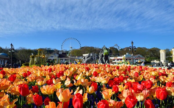 things to do in south korea in april
