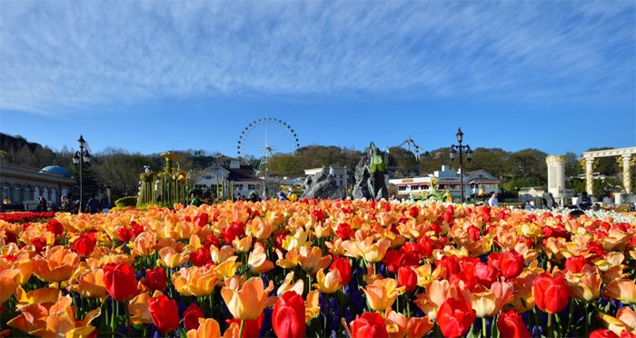 things to do in south korea in april