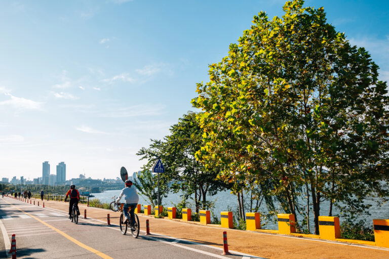 Cycling in Seoul: from Rentals to Bike Shops 2026 system bike ddareungi