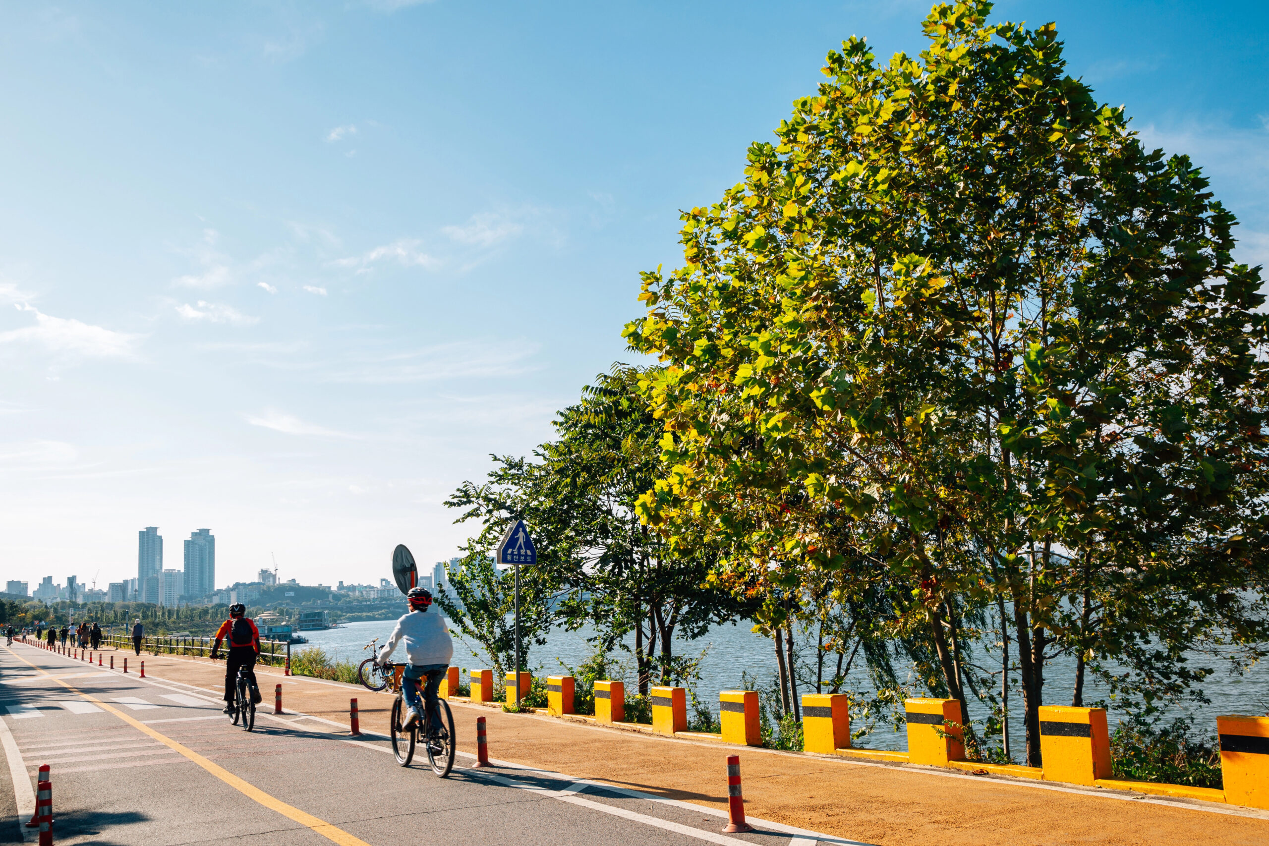Cycling in Seoul: from Rentals to Bike Shops 2026 system bike ddareungi