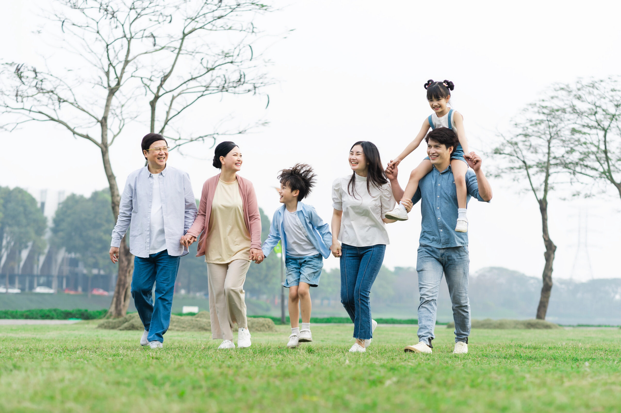 Korean traditional family korean age international age system