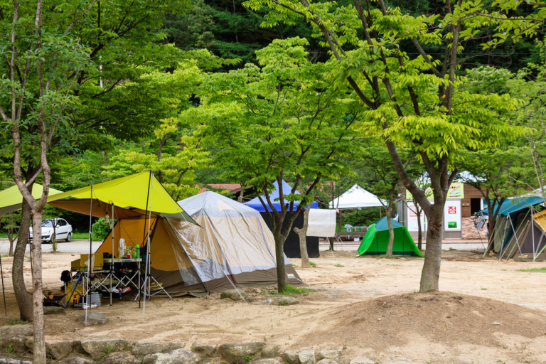 Camping and Glamping in Korea | 10 Top Sites and Traveling Tips